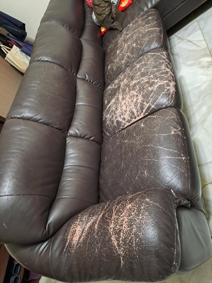 沙發修理案件圖片