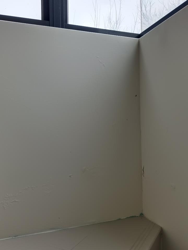 壁癌處理案件圖片