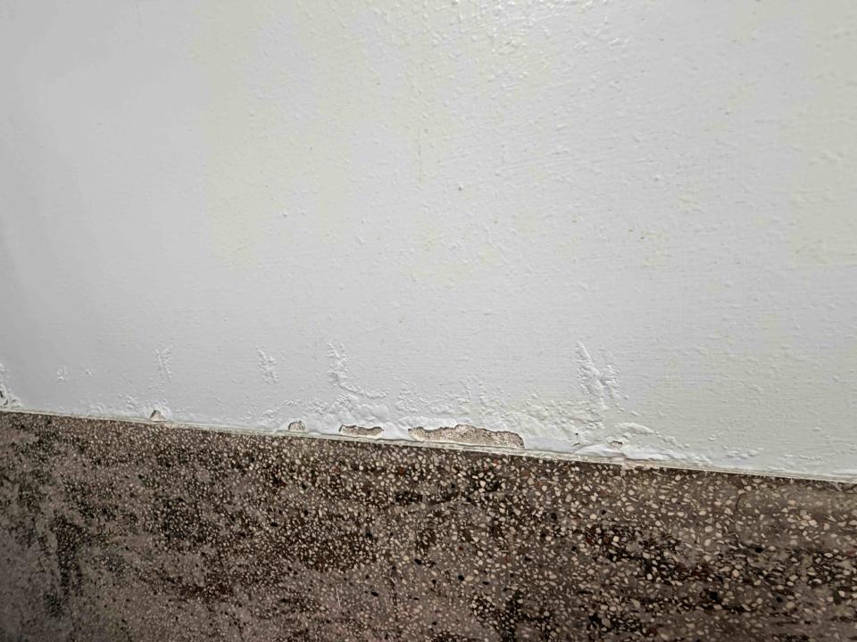 壁癌處理案件圖片