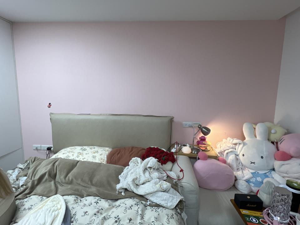 油漆工程案件圖片