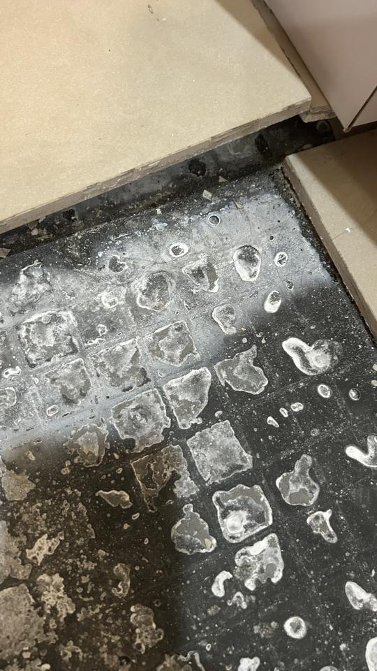 磁磚修補案件圖片