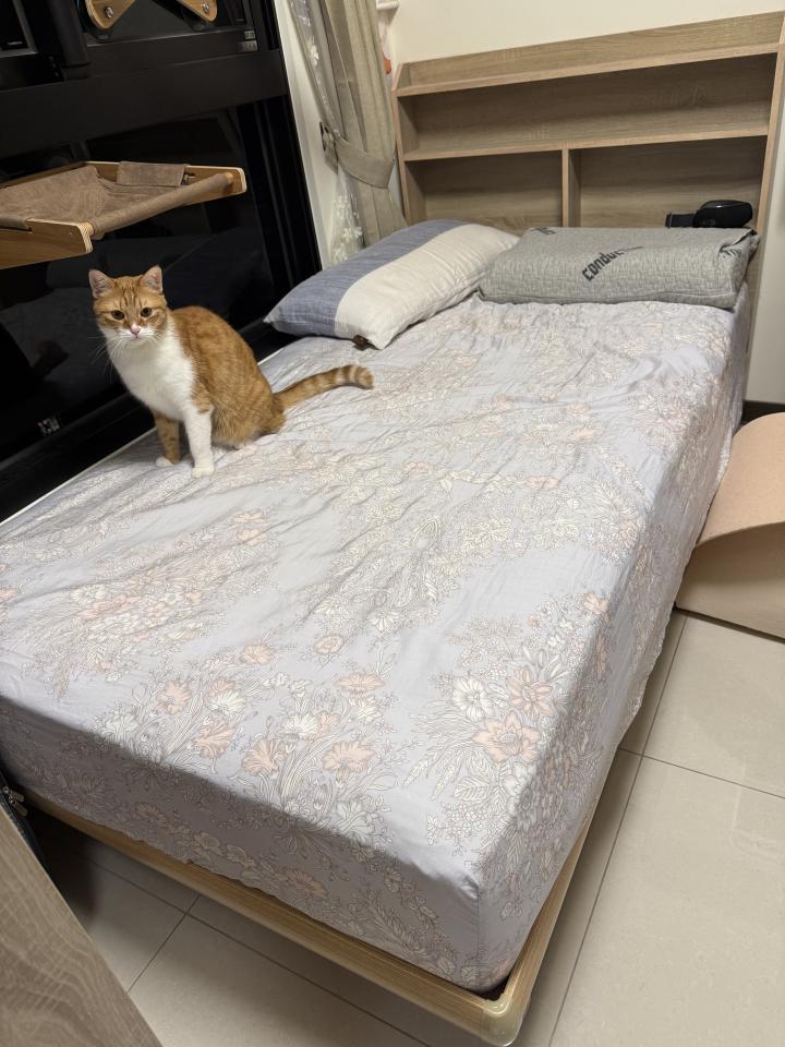 回頭車案件圖片