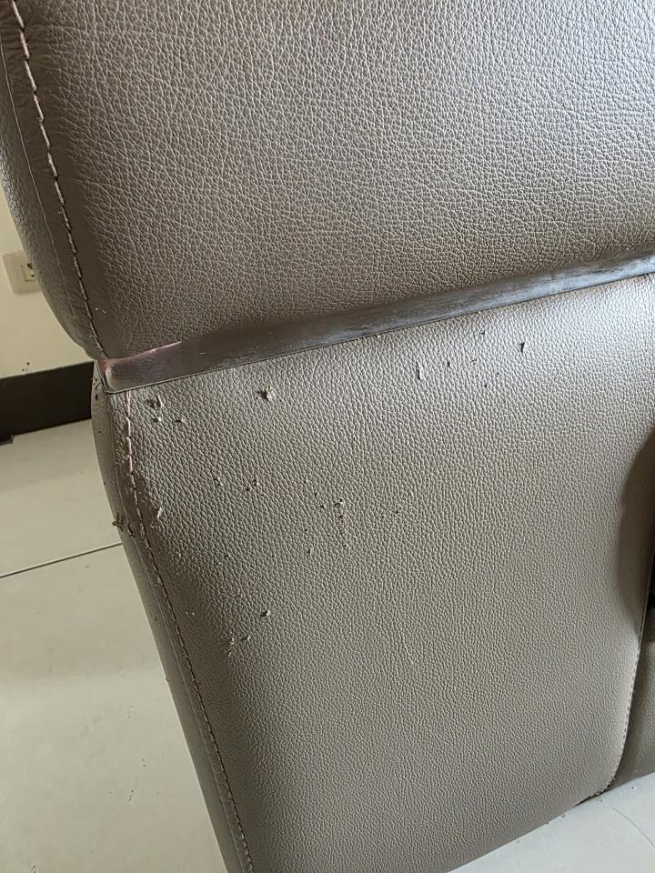 沙發修理案件圖片