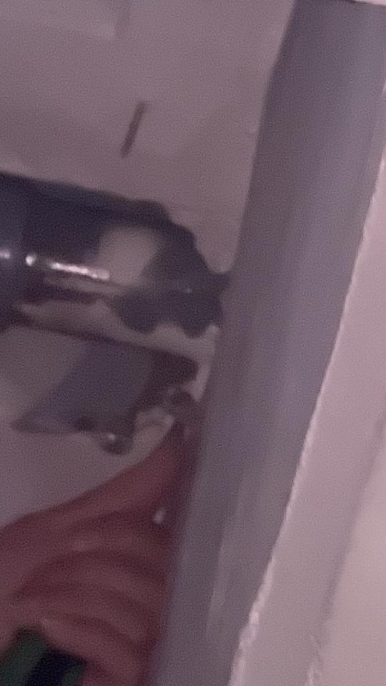 漏水處理案件圖片