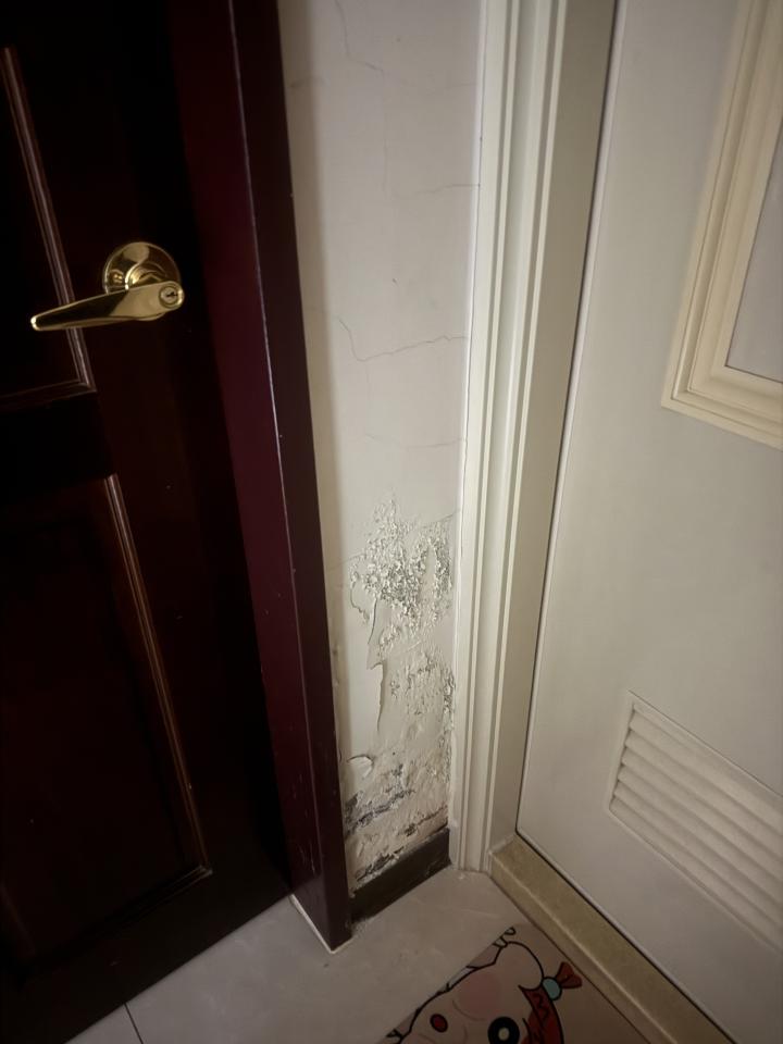 油漆工程案件圖片