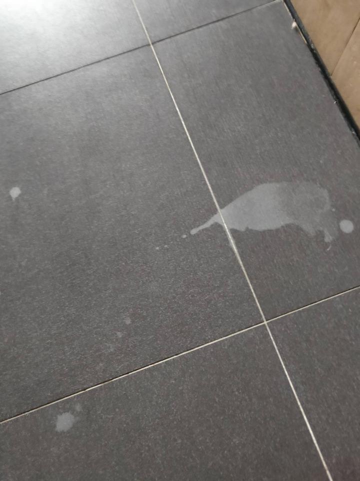 地板拋光打蠟案件圖片