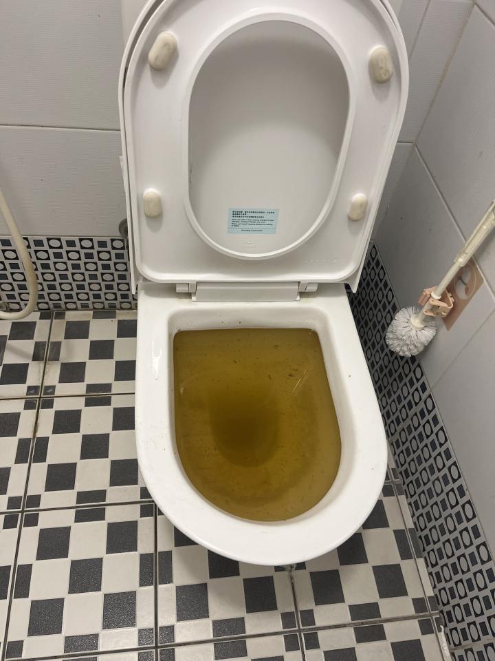 通馬桶案件圖片