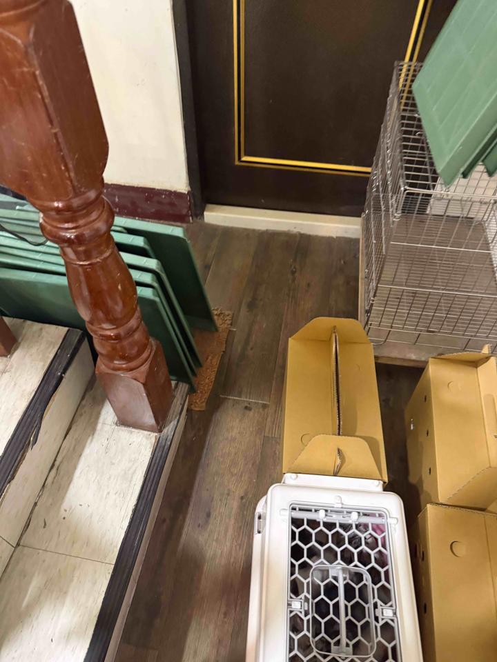 地板施工案件圖片