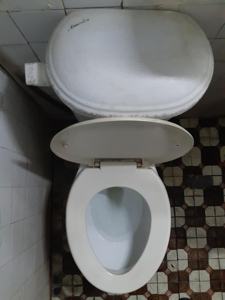 馬桶裝修案件圖片