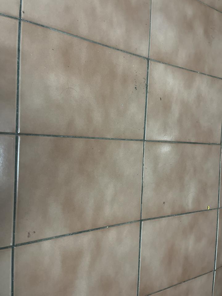 磁磚修補案件圖片