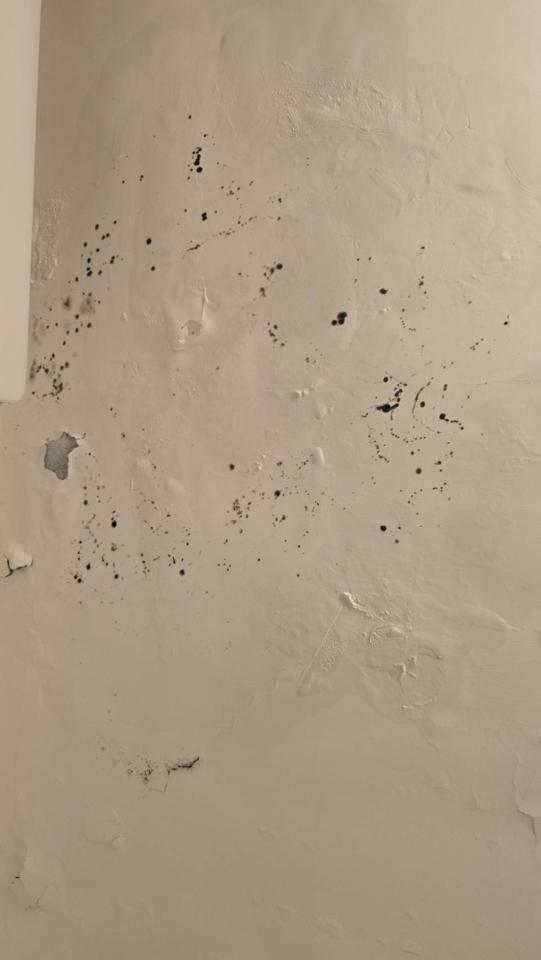 油漆工程案件圖片