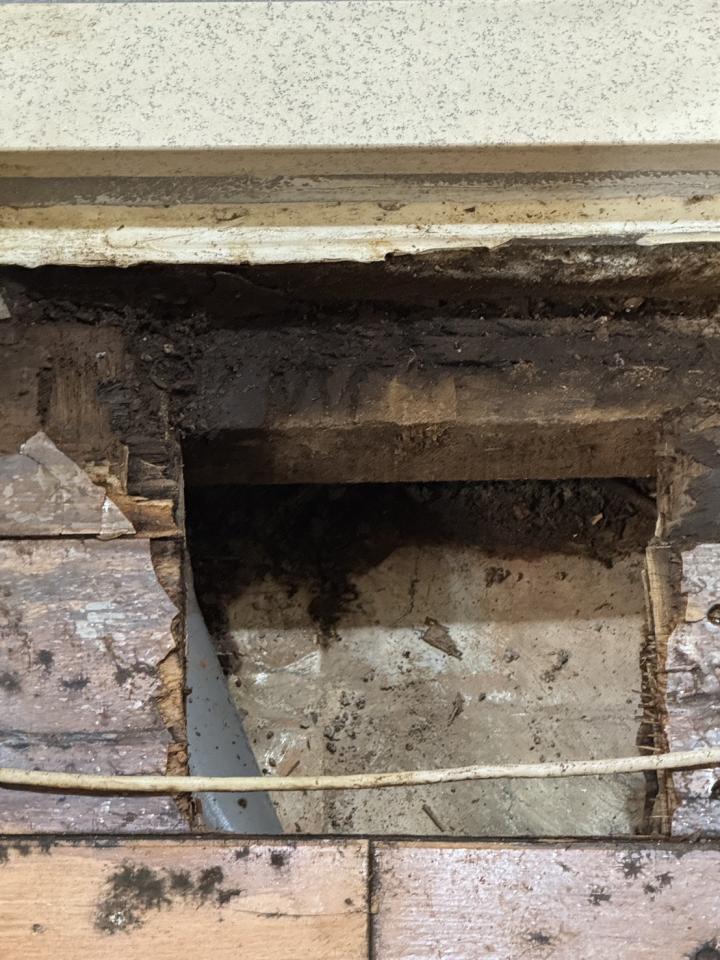 木工施工案件圖片