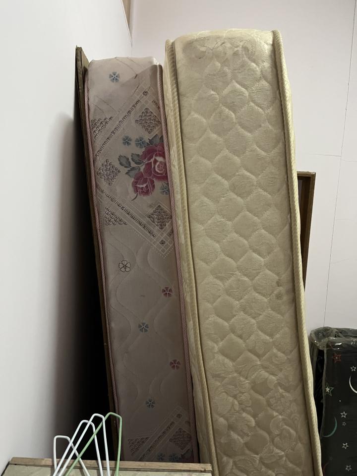 大型垃圾回收案件圖片