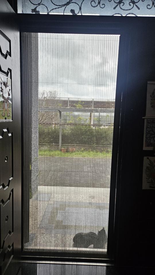 紗窗裝修案件圖片