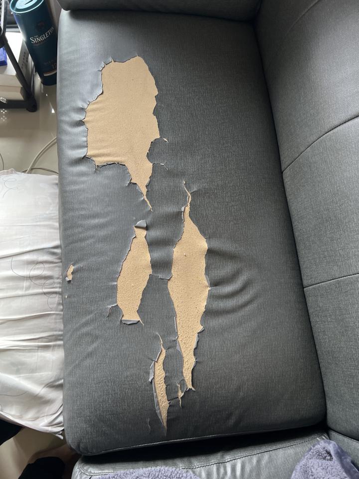 沙發修理案件圖片