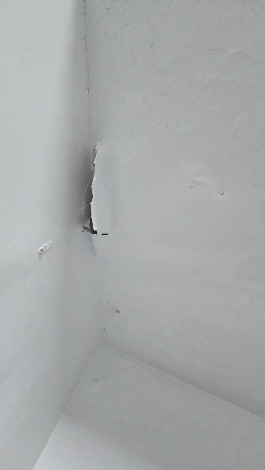 油漆工程案件圖片