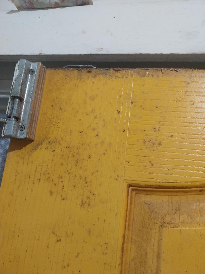 門片維修案件圖片