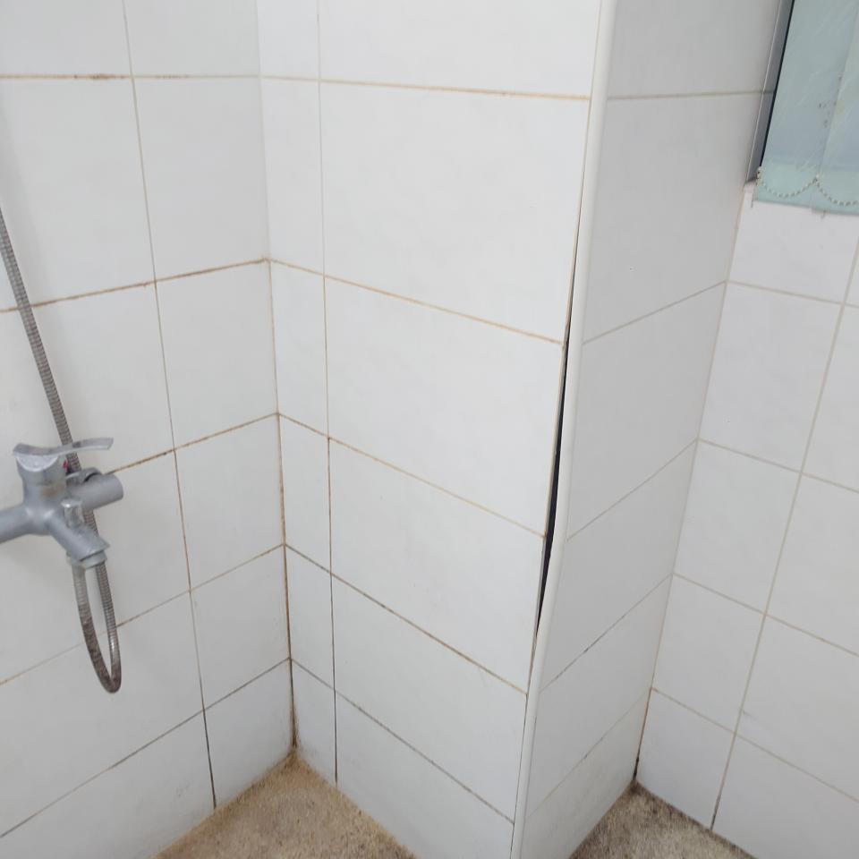 磁磚修補案件圖片