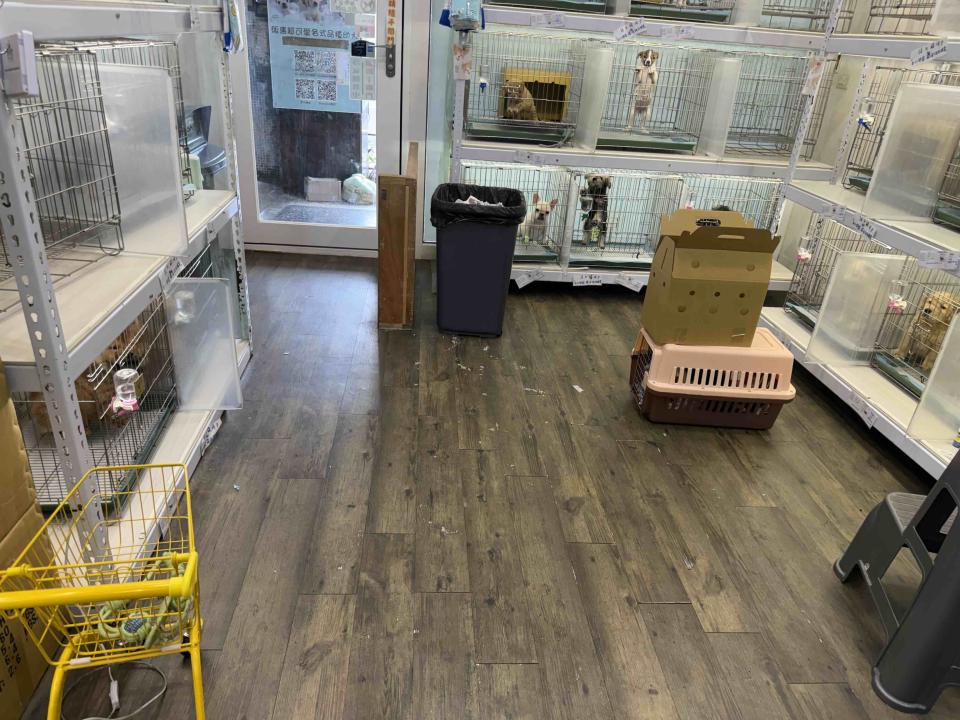 地板施工案件圖片