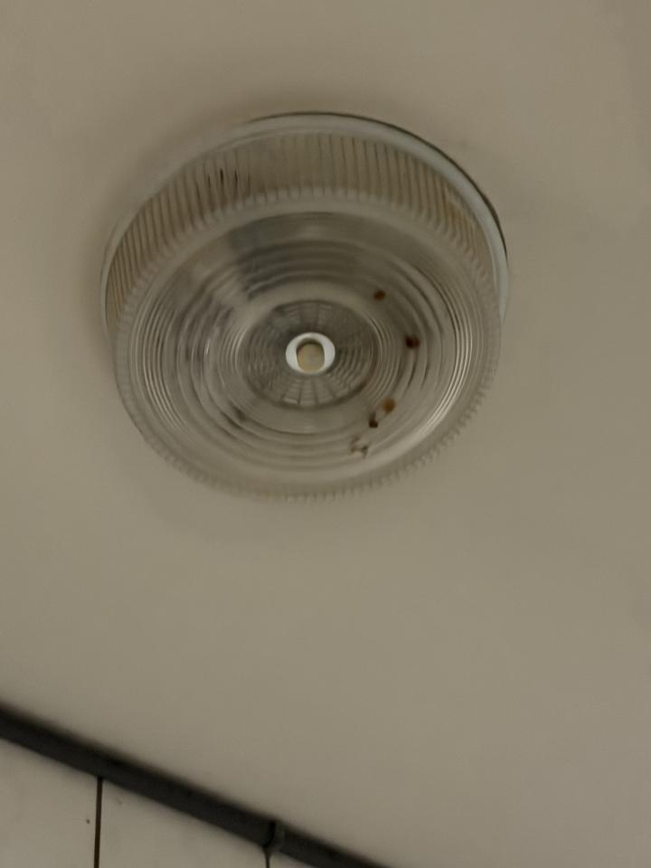 燈具安裝案件圖片