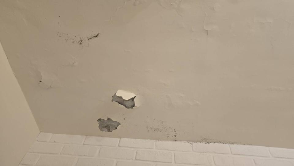 油漆工程案件圖片