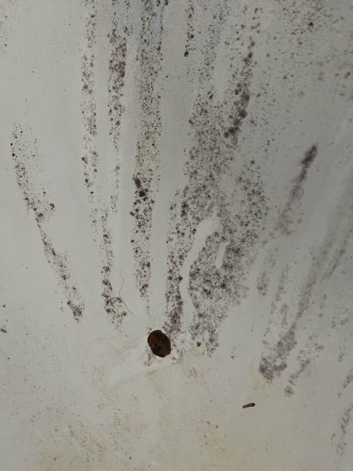 浴缸與淋浴裝修案件圖片