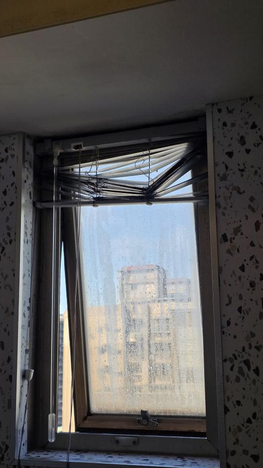 百葉窗安裝案件圖片