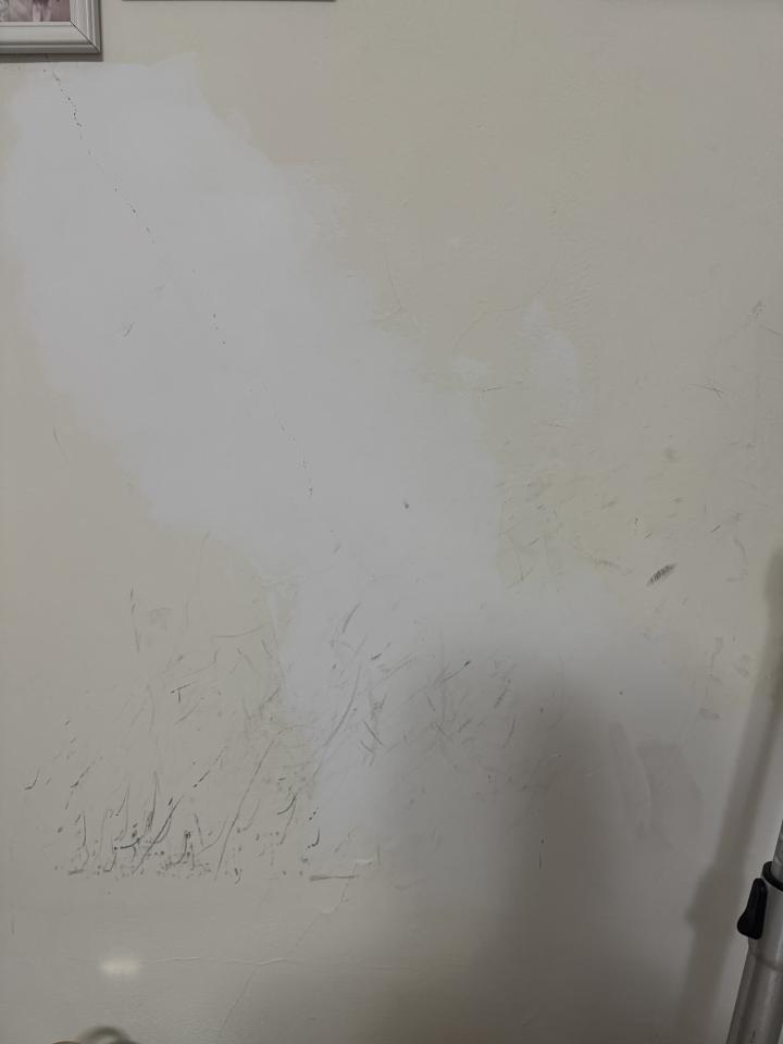 油漆工程案件圖片