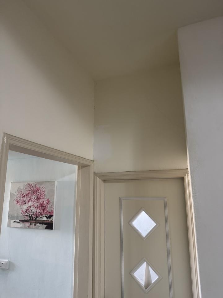 油漆工程案件圖片