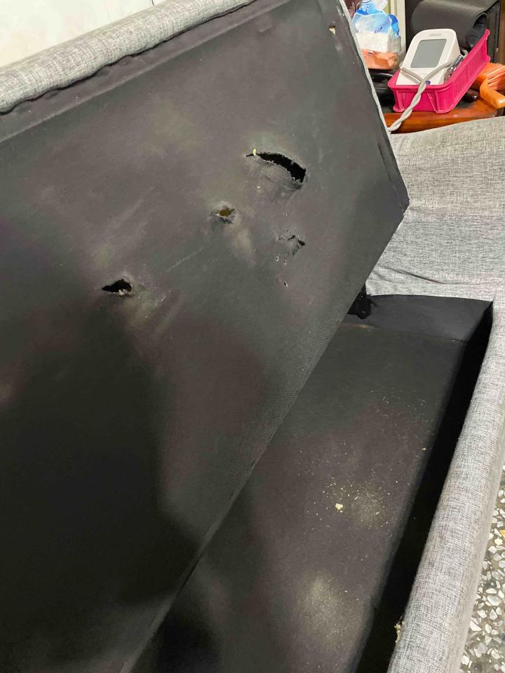 沙發修理案件圖片