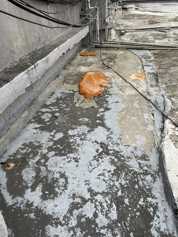 屋頂防水案件圖片