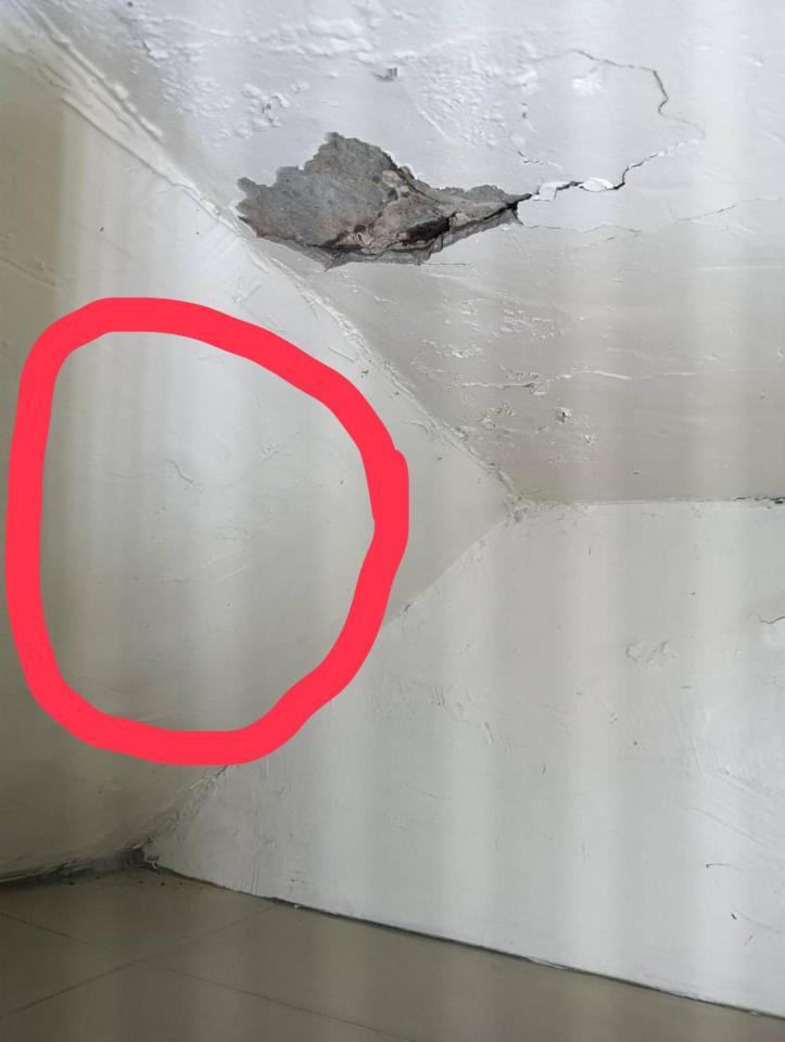 泥作/水泥施工案件圖片