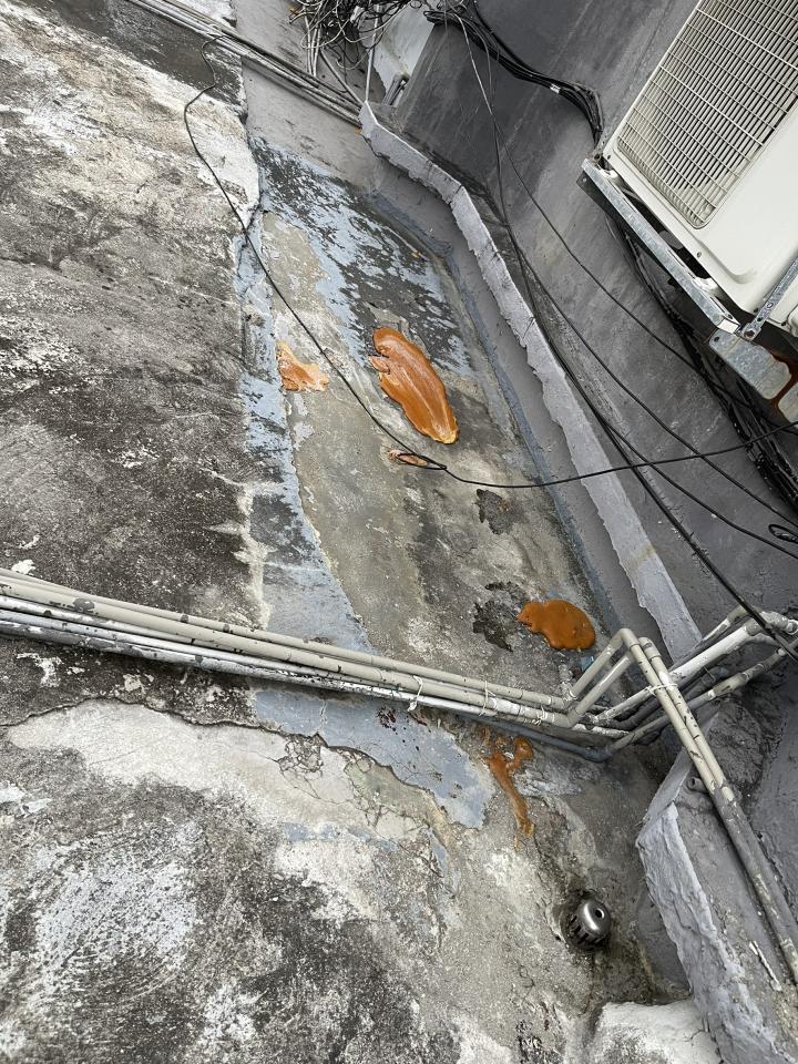 屋頂防水案件圖片