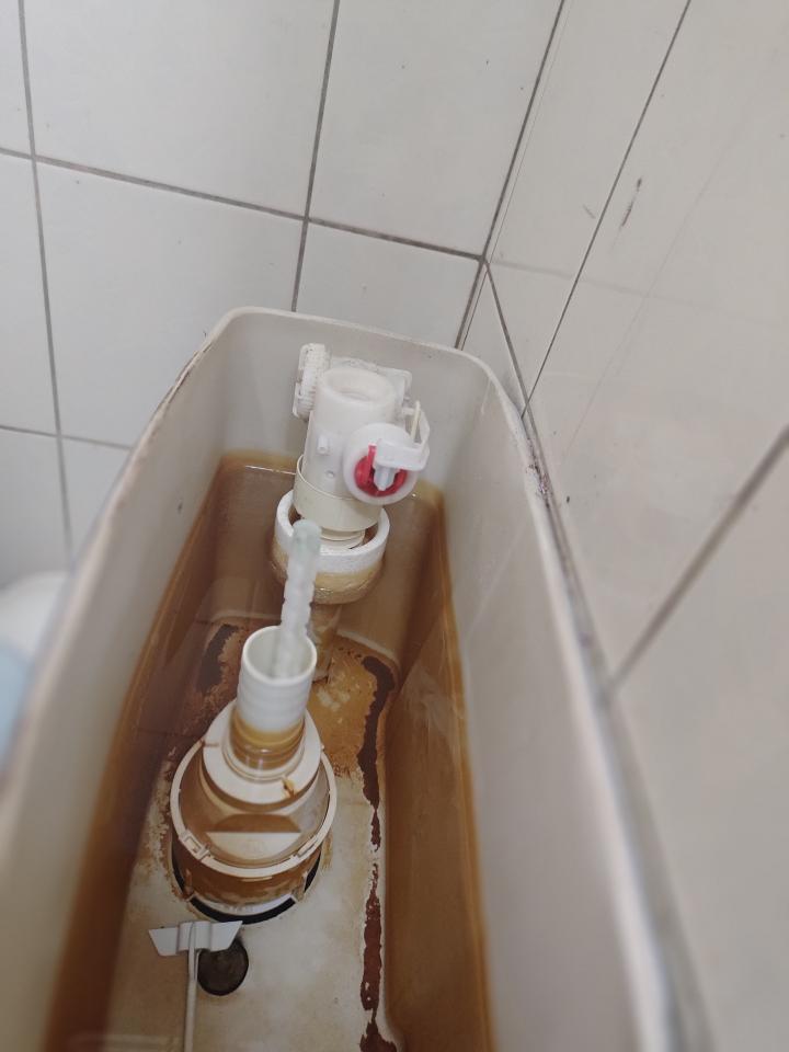 馬桶裝修案件圖片