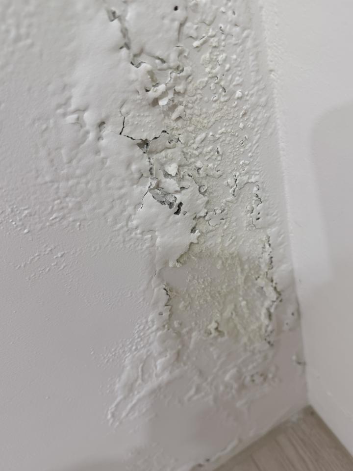 泥作/水泥施工案件圖片