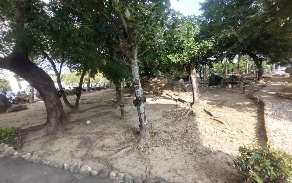 園藝設計案件圖片