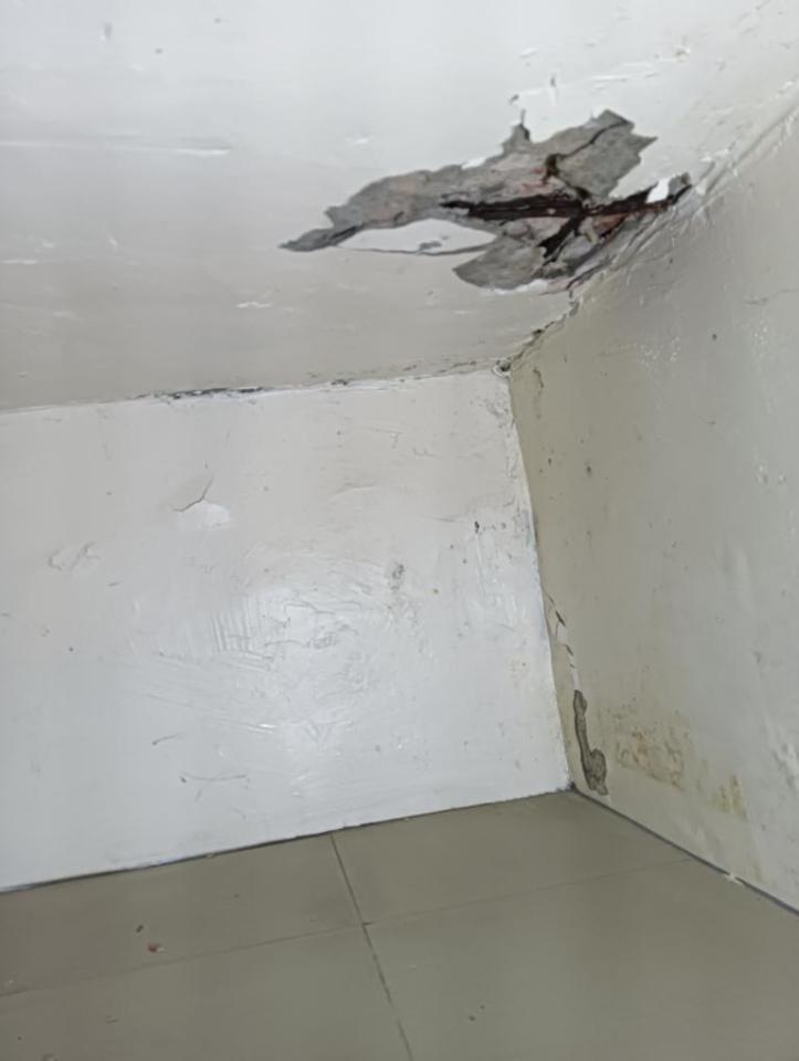 泥作/水泥施工案件圖片