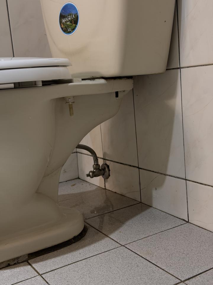 馬桶裝修案件圖片