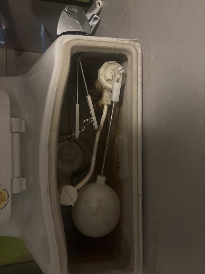 馬桶裝修案件圖片