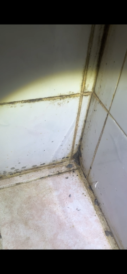 漏水處理案件圖片