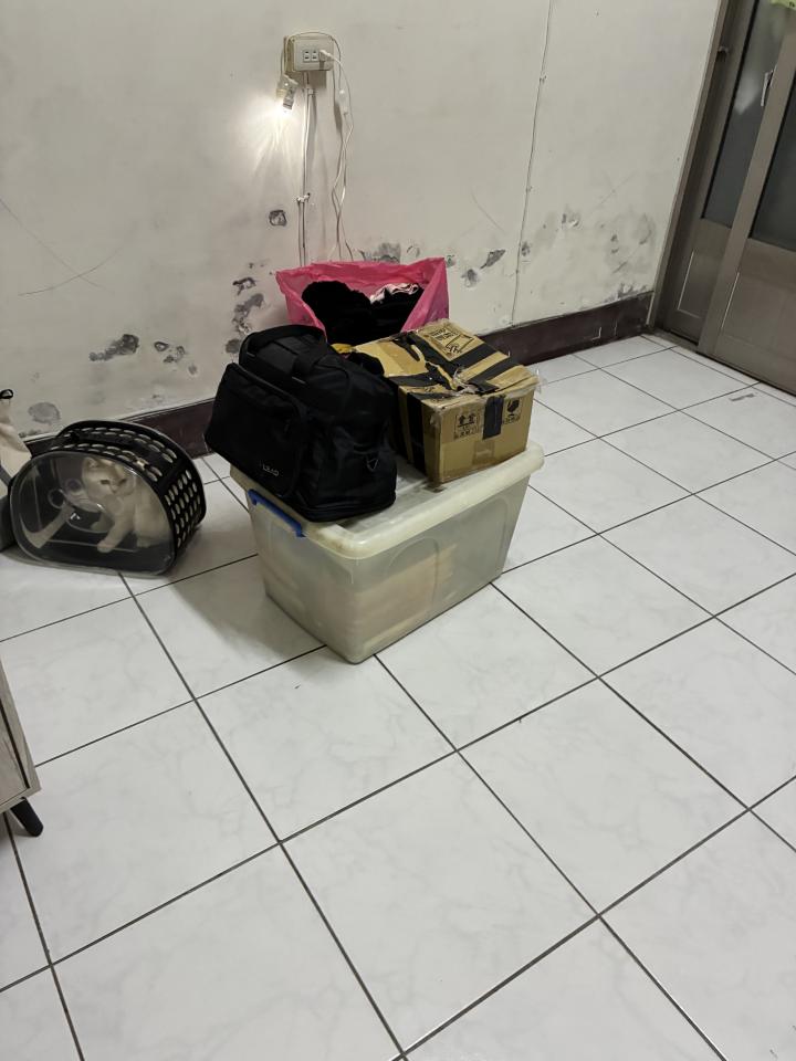 載貨運輸服務案件圖片