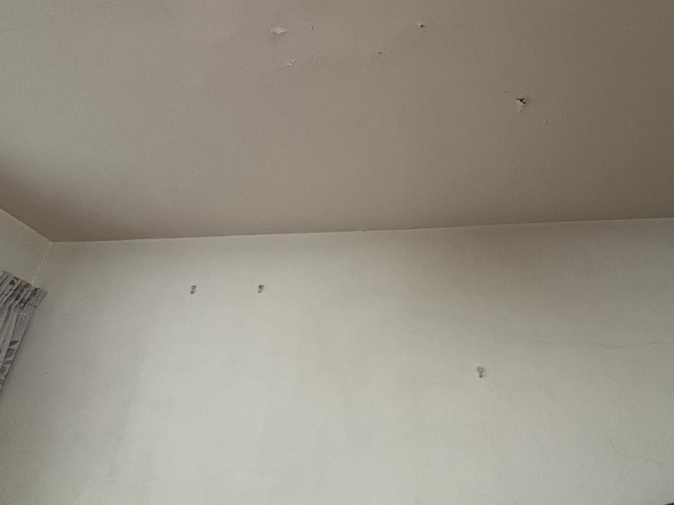 油漆工程案件圖片