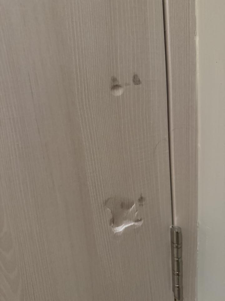 木工施工案件圖片