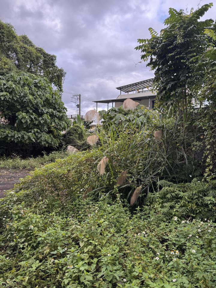 園藝維護案件圖片