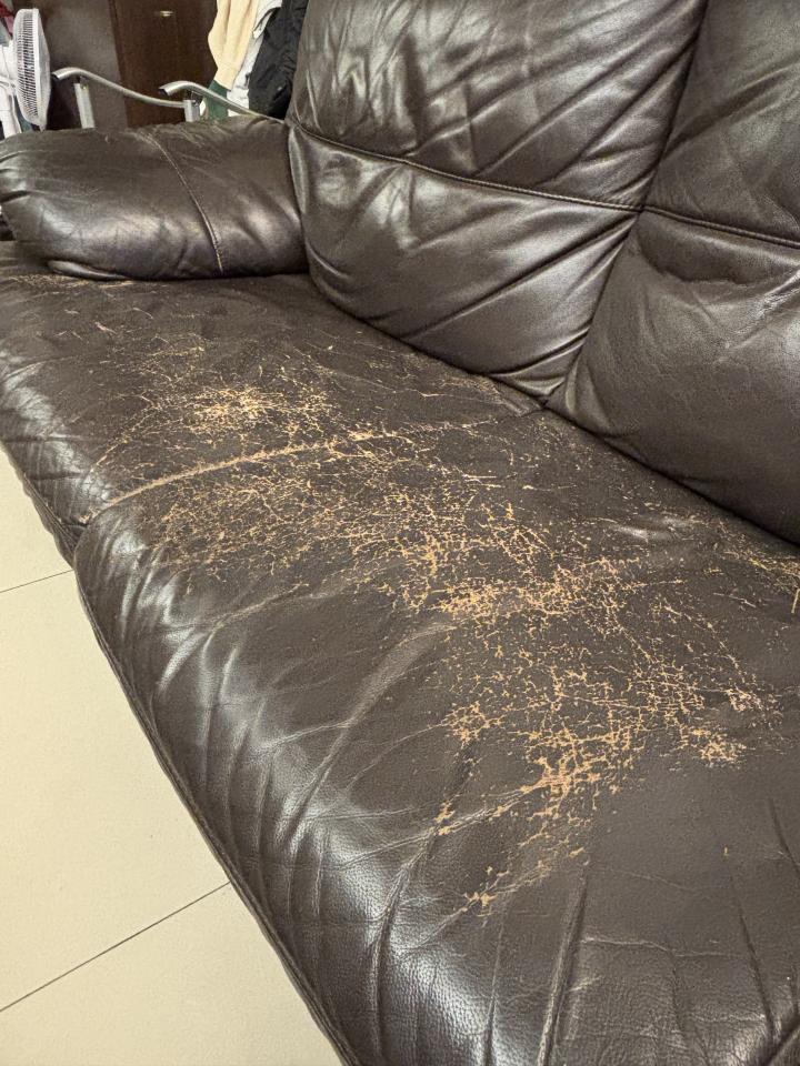 沙發修理案件圖片