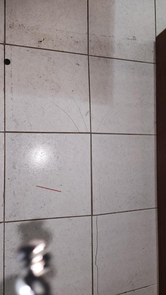 磁磚修補案件圖片