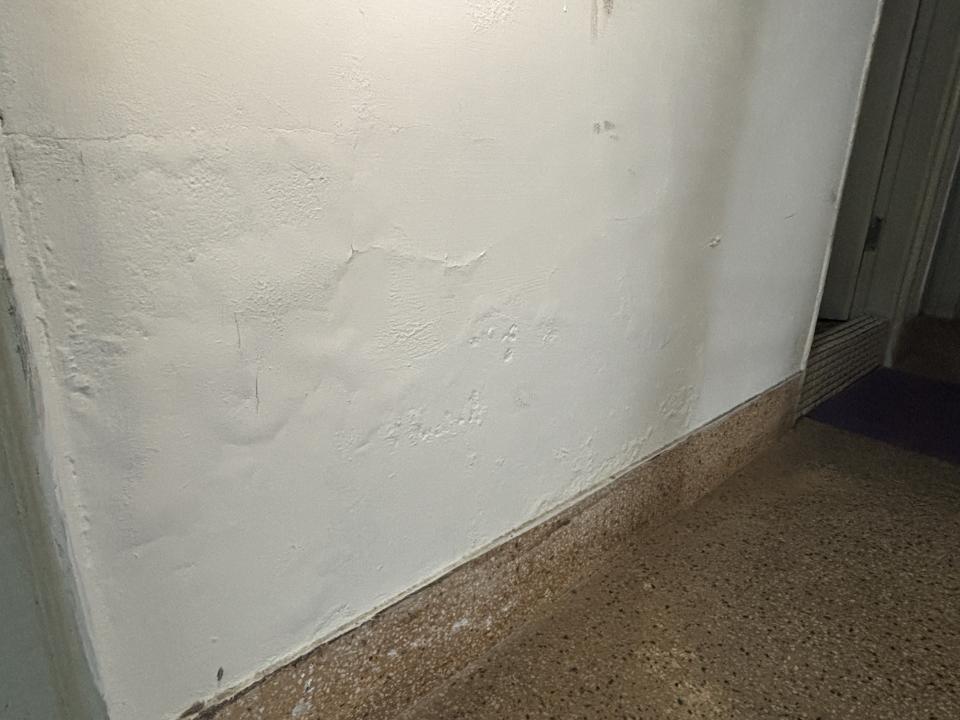 油漆工程案件圖片