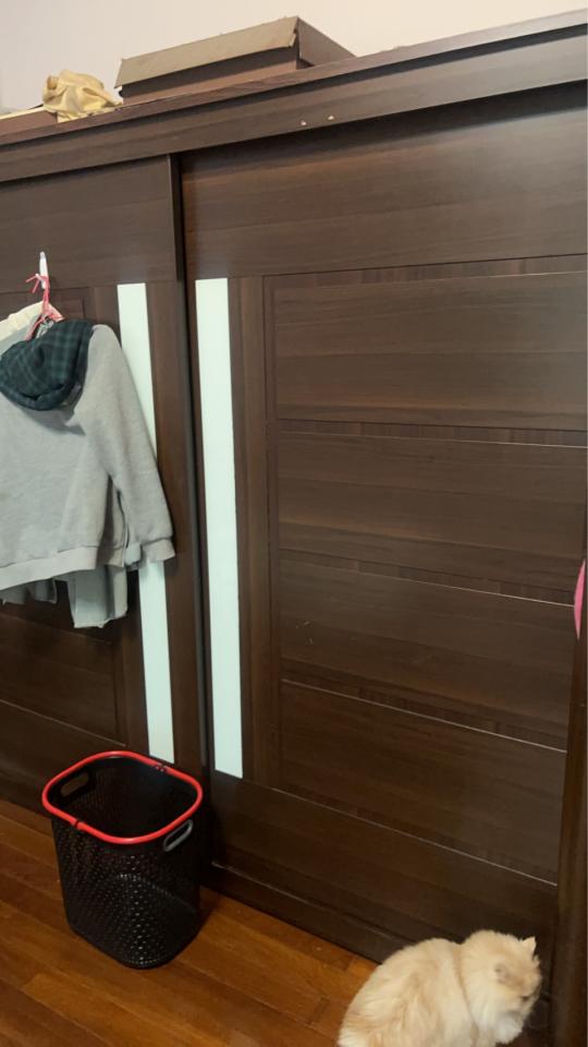 木工施工案件圖片