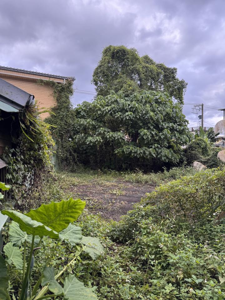 園藝維護案件圖片