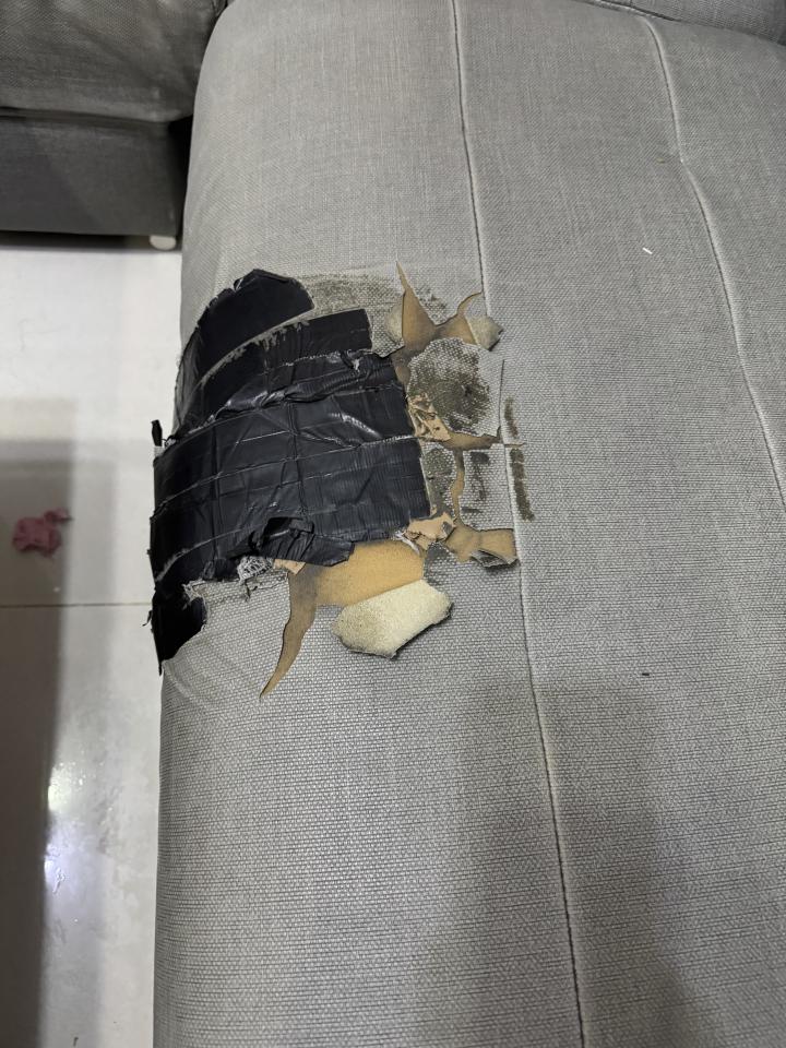 沙發修理案件圖片